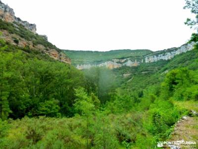 Sedano,Loras-Cañones Ebro,Rudrón;parque natural monte aloia garganta de los infiernos jerte ruta d